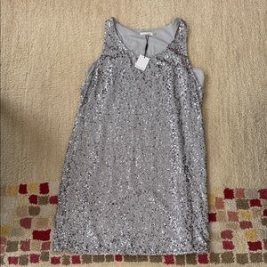 Calvin Klein Sparkling Silver Mini Dress